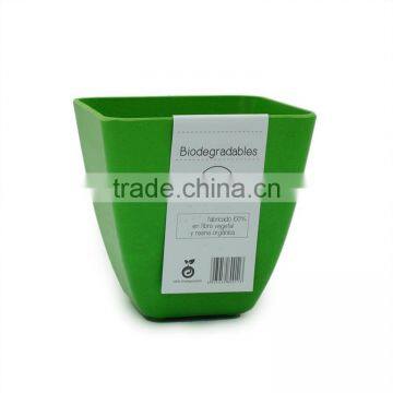 Biodegradable bamboo mini plant pot and flower pot