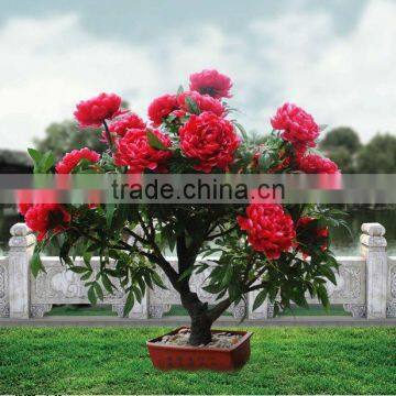 beautiful outdoor decorative peony flower light bonsai