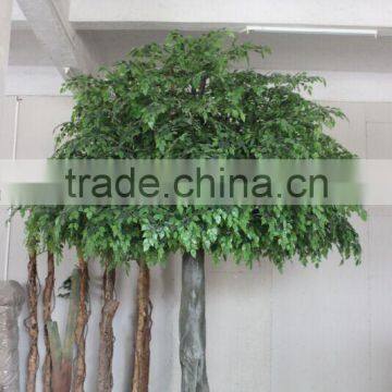 SJ11 Artificial Banyan Tree Manufacturer in Guangzhou photo-3