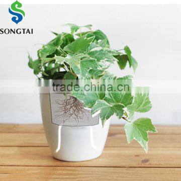 cheap colorful self watering flower pot