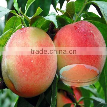 skin care material peach powder/peach extract powder fruit powder skin care powder