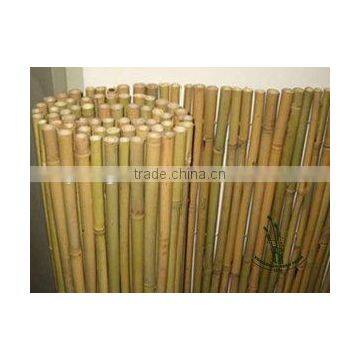 natural bamboo fence for garden