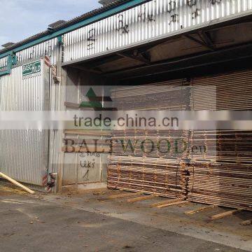 Great Priced Ash Timber photo-2