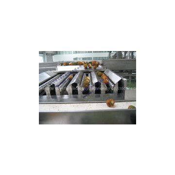 Pineapple Processing Line photo-3