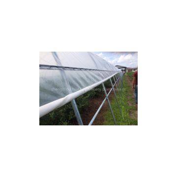 Low Cost Greenhouse of High Quality