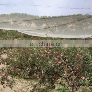 Car Hail Protection Anti-hail Net Covers / Apple Tree Anti Hail Netting