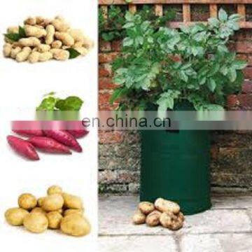 OEM Plant Garden Felt Fabric Grow Bags photo-4