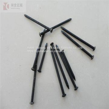 Large Head Galvanized Umbrella Roofing Nails/Concrete Nails/common Nail Made in China photo-2