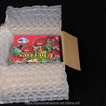 Air Bubble Wrapper Film Great Transportation Protection photo-4
