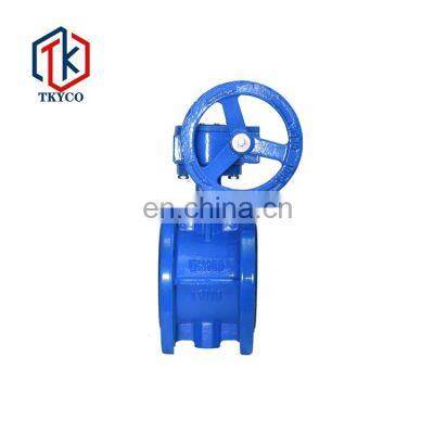 Tyco China Manufacturer Hard Seal Epdm Seat Butterfly Valve Seat Ring