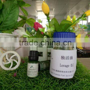 High Quality Hebal Oil Lovage Oil From GMP and ISO Certificate photo-6