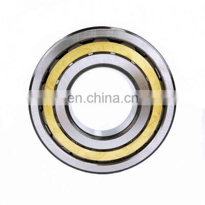 Bearing SL045048PP SL045052PP SL045056PP Full Complement Cylindrical Roller Bearing