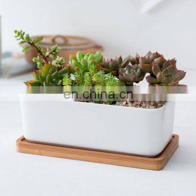 Original Large Succulent Planter Ribbed Ceramic Pot For Indoor Plant