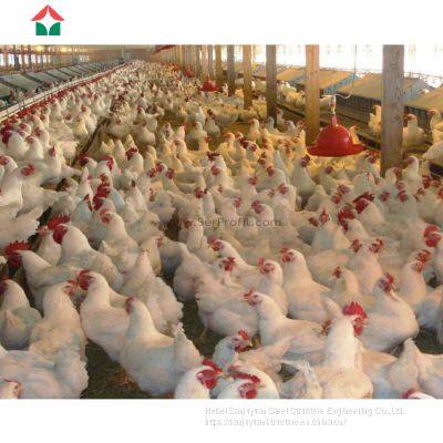 China prefabricated  chicken poultry farm building house