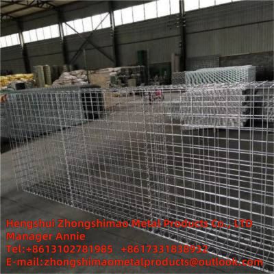 gabion mesh/Hexagonal Wire Netting/galvanized iron wire