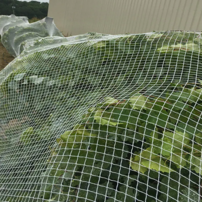 Fish Pond Net Fish Pond Cover Nets Koi Pond Net
