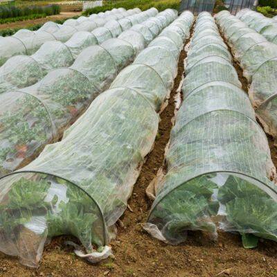 Best Sale Long Service Life Agricultural Insect Proof Net Anti-insect Net for Green House photo-5