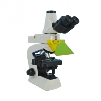 Fluorescence microscope MF23