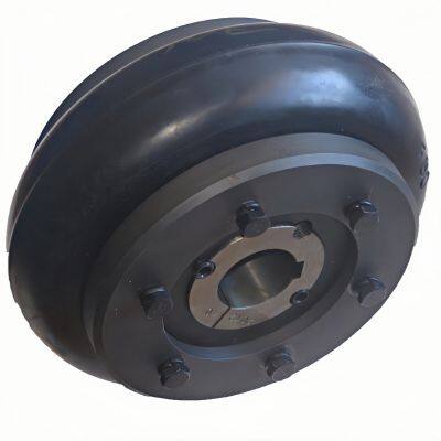 Customizable Rigid Iron Steel Aluminium Rubber Tyre Coupling OEM Support for Pumps Industrial Equipment Construction Industries photo-4