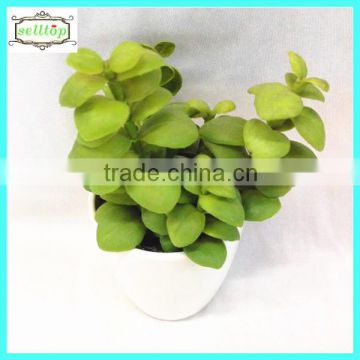 17cm high quality real touch artificial mini succulent plants                        
                                                Quality Choice