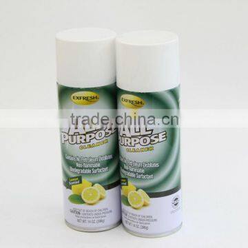 Kitchen All Purpose Cleaner Aerosol Spray