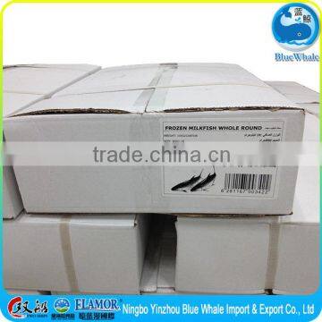 Chinese frozen milkfish Xianshuang Haibu ship frozen seafood