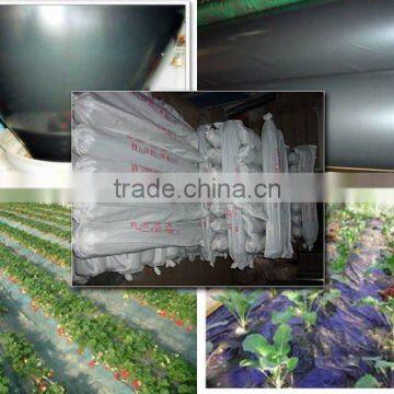 Commercial Tunnel Greenhouse Film for Tomato Planting                        
                                                Quality Choice