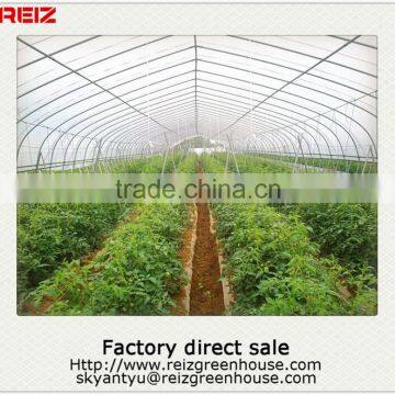 Low Cost greenhouse for agriculture prices