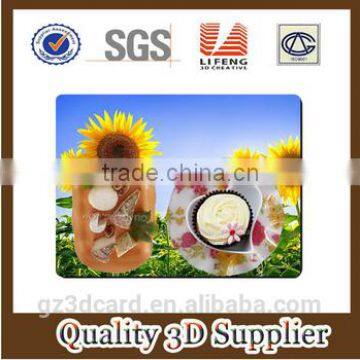 2015 Factory Supply Creative Lenticular PP/PET 3D Table Mat With Four Color Printing photo-4