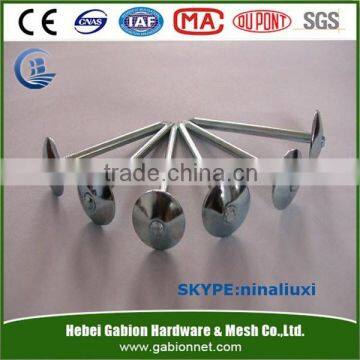 Umbrella Head Roofing Nail