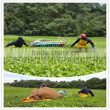 Hot Sale Two-man Tea Picker for Sale