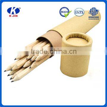 2016 Hot sale environmental HB pencils into paper tube for gift