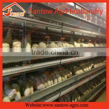 Hot sale new product poultry equipment for broiler