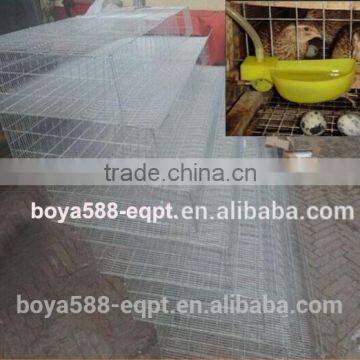 Watering System Quail Layer Cages for Poultry Farming photo-2