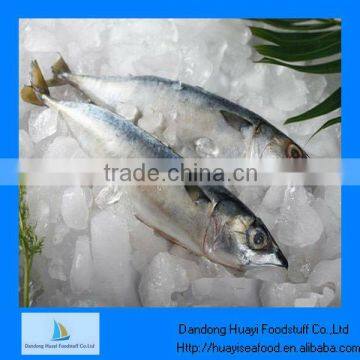 Frozen fish types