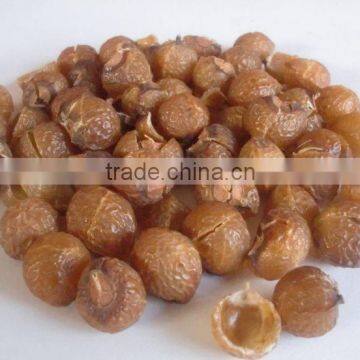 Compo stable Wash Nut /Soap Nut