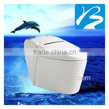 Intelligent Sanitary Ware House Designs Toilet