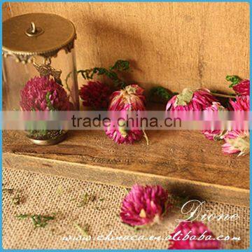 Hot Christmas Gift Jewelry Charms Glass Ball Necklace Pendant , Glass Bottle Necklace Pendant photo-3