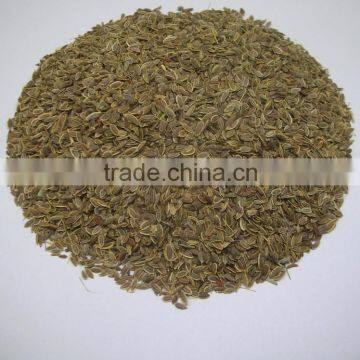 Spice-Dill Seeds / Anthem Graveolens / Suwa photo-3