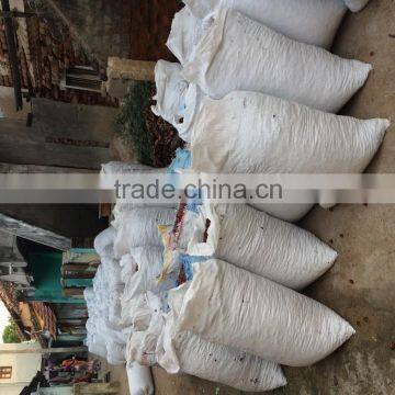 Round Red Chilli photo-2