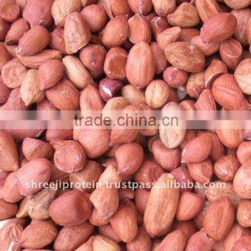 raw peanut kernels long type