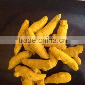 TURMERIC FINGERS NIZAMABAD QUALITY EUROPE QUALITY