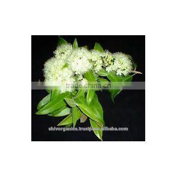Myrtle oil