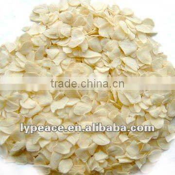 exporting USA market -garlic flakes for spices