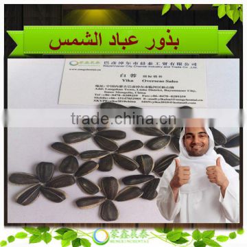 Inner Mongolia 1121 24/68 Sunflower Seeds China Supplier