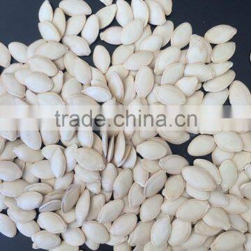 Export Shine Skin Pumpkin Seeds 2015 New Crop