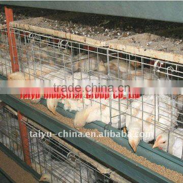 TAIYU-2 H type chick cage