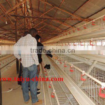 TAIYU Farm Poultry Equipment (Agent and Warehouse in Foreign Countries, Visit Customers Every Year) photo-2