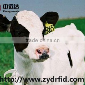 LF/HF/UHF ABS rfid tracking animal ear tag for cow