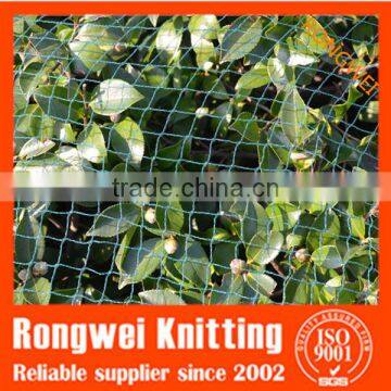 Agriculture plastic bird net for fruit trees